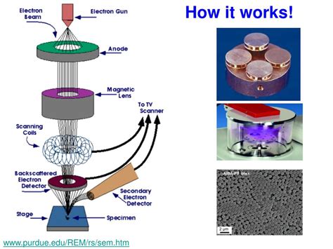 electron microscope ppt|electron microscopy notes.